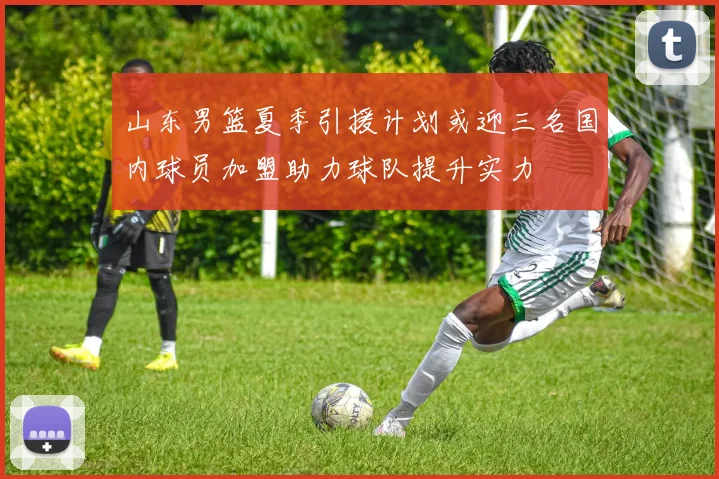 山东男篮夏季引援计划或迎三名国内球员加盟助力球队提升实力