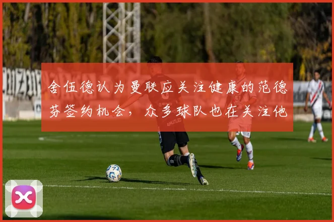 舍伍德认为曼联应关注健康的范德芬签约机会，众多球队也在关注他