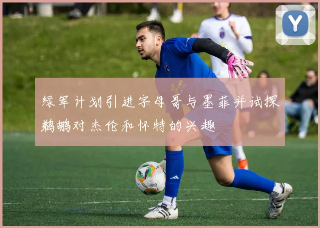 绿军计划引进字母哥与墨菲并试探鹈鹕对杰伦和怀特的兴趣